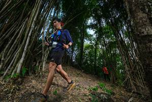 BIB: 
                            <button type="button" onclick="openModal(19395694)" class="btn btn-primary btn-sm float-right btn-popup" data-toggle="modal" data-target=".modal-high-quality">
                        <i class="fas fa-shopping-cart"></i> Add to Cart
                    </button>
                                            <button type="button" onclick="isThisMe(19395694, true)" class="btn btn-success btn-sm float-right btn-popup btn-isme hidden" data-toggle="tooltip" data-placement="bottom" title="นี่คือรูปของคุณใช่ไหม คลิกที่นี่เพื่อเอาเข้าอัลบั้ม">
                        <i class="fas fa-plus"></i> Add to album
                    </button>
                    <button type="button" onclick="isThisMe(19395694, false)" class="btn btn-warning btn-sm float-right btn-popup btn-isnotme hidden">
                        <i class="fas fa-ban"></i> Remove from album
                    </button>